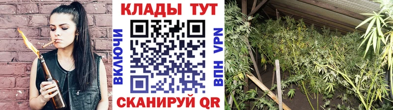 Где можно купить наркотики Тольятти Псилоцибиновые грибы Меф мяу мяу ГАШИШ Кокаин