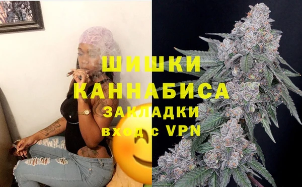 амф Богородск